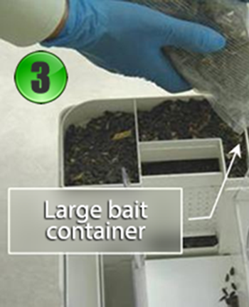 Priming the other compartments